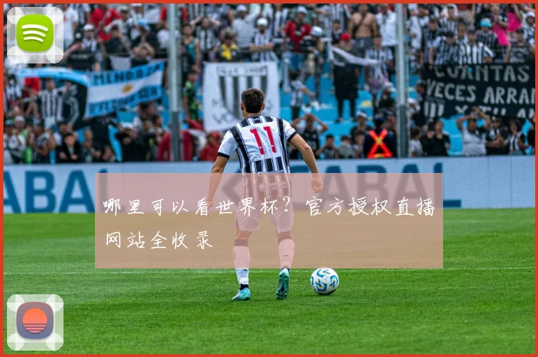 哪里可以看世界杯？官方授权直播网站全收录