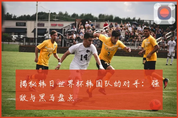 揭秘韩日世界杯韩国队的对手：强敌与黑马盘点