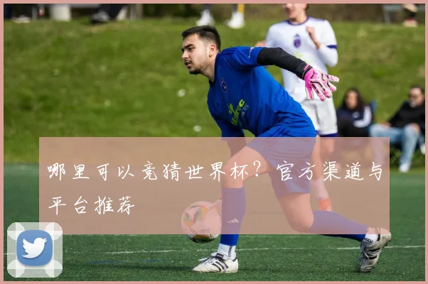 哪里可以竞猜世界杯？官方渠道与平台推荐
