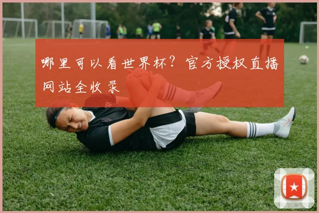 哪里可以看世界杯？官方授权直播网站全收录
