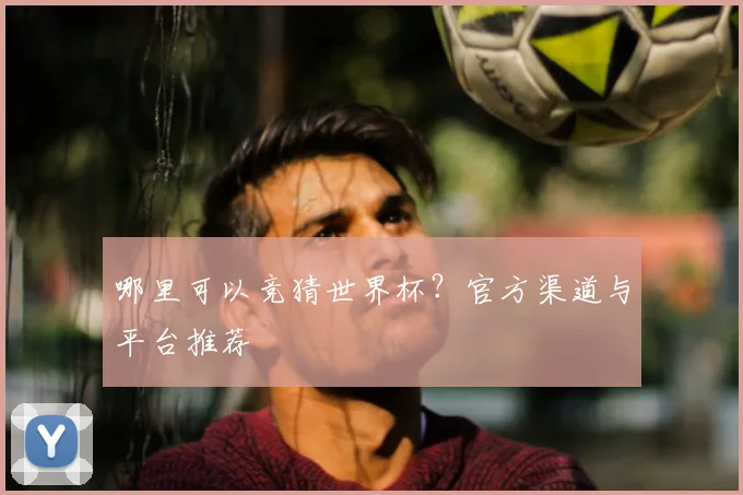 哪里可以竞猜世界杯？官方渠道与平台推荐